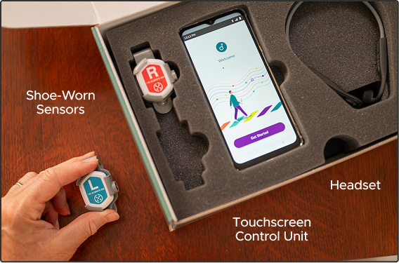 InTandem medical device components: shoe-worn sensors; Headset; Touchscreen Control Unit